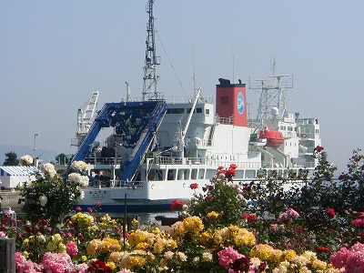 yokosuka2.jpg