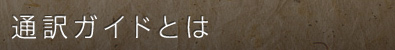 通訳ガイドとは